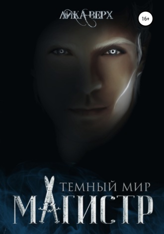 . Темный мир. Магистр