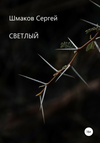 . Светлый