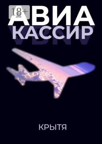 . Авиакассир