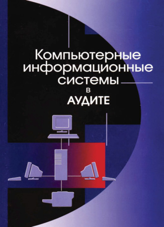 . Компьютерные информационные системы в аудите