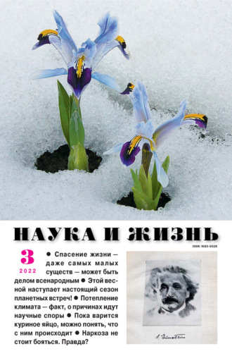 . Наука и жизнь №03/2022