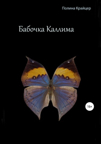 Полина Крайцер. Бабочка Каллима