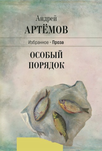 . Особый порядок