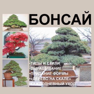 И. Е. Гусев. Бонсай