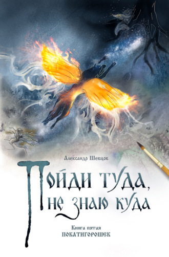 . Пойди туда, не знаю куда. Книга 5. Покатигорошек