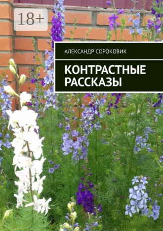 Александр Сороковик. Контрастные рассказы