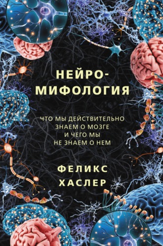 . Нейромифология. Что мы действительно знаем о мозге и чего мы не знаем о нем