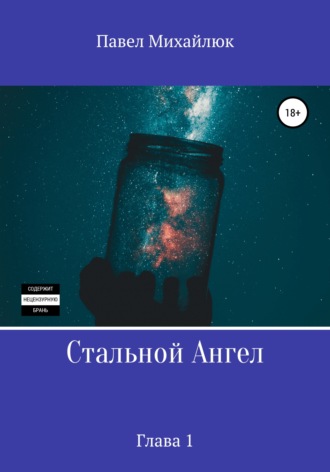 Павел Николаевич Михайлюк. Стальной Ангел. Глава первая