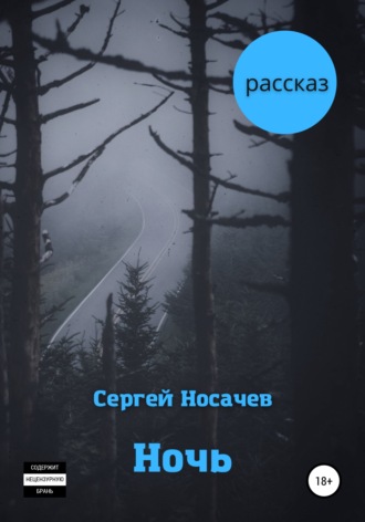 Сергей Носачев. Ночь