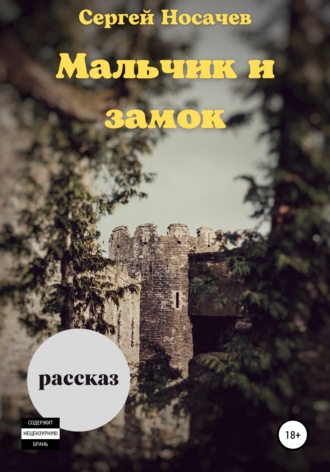 Сергей Носачев. Мальчик и замок