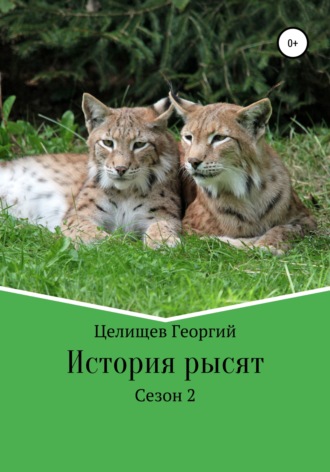 Георгий Целищев. История рысят. 2 сезон