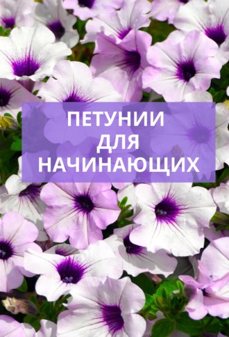 . Петунии для начинающих