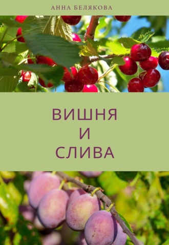 . Вишня и слива