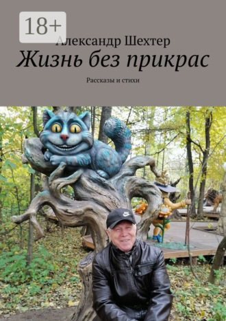 . Жизнь без прикрас. Рассказы и стихи