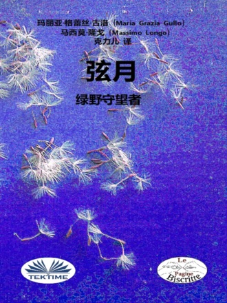Massimo Longo. 弦月