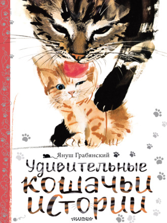 . Удивительные кошачьи истории