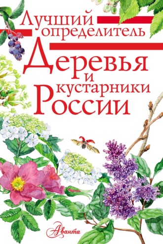 Ирина Пескова. Деревья и кустарники России. Определитель