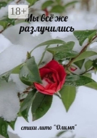 . Мы всё же разлучились. Стихи лито «Олимп»