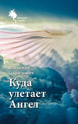 Владимир Гаврилович. Куда улетает Ангел