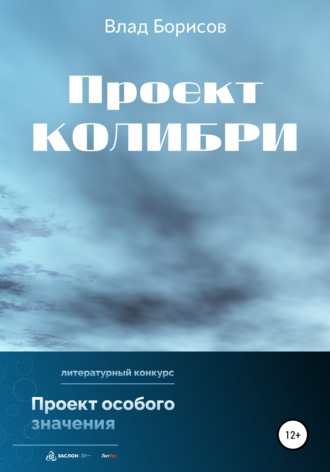 Влад Борисов. Проект Колибри