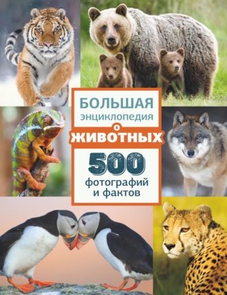 . Большая энциклопедия о животных. 500 фотографий и фактов