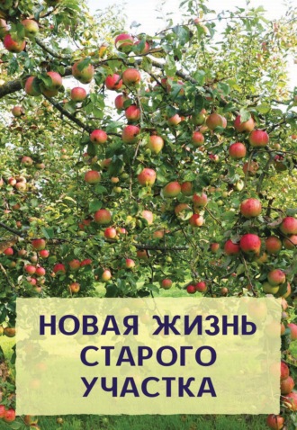 Николай Хромов. Новая жизнь старого участка