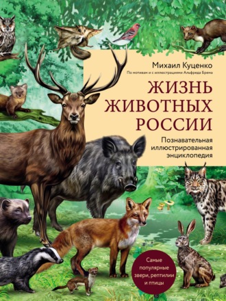 Михаил Куценко. Жизнь животных России. Познавательная иллюстрированная энциклопедия
