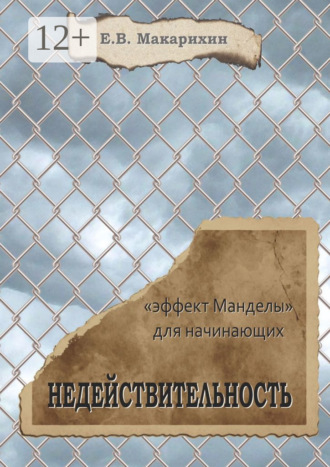 Евгений Макарихин. Недействительность. «Эффект Манделы» для начинающих