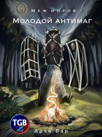 . Меж миров. Молодой антимаг