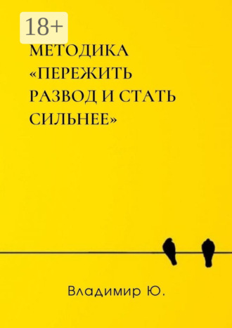 Владимир Ю.. Методика «Пережить развод и стать сильнее»