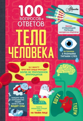 Минна Лейси. Тело человека