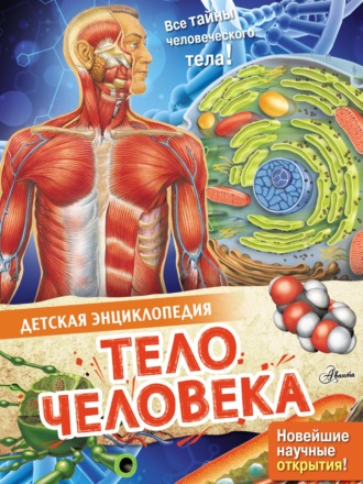 Салли Морган. Тело человека
