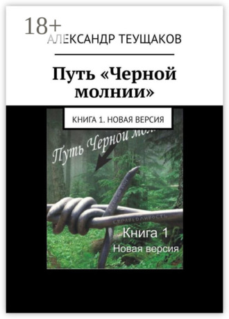 . Путь «Черной молнии». Книга 1. Новая версия