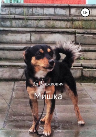 . Мишка