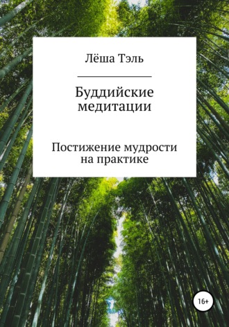 Леша Тэль. Буддийские медитации. Постижение мудрости на практике