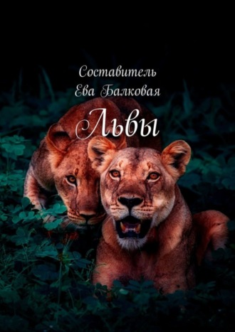 . Львы