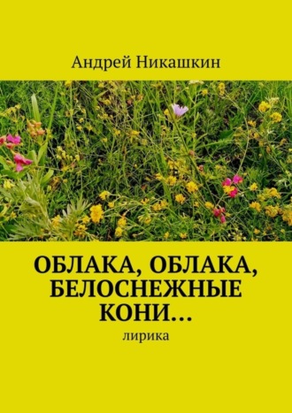 . Облака, облака, белоснежные кони… Лирика
