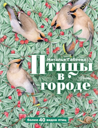 Наталья Габеева. Птицы в городе
