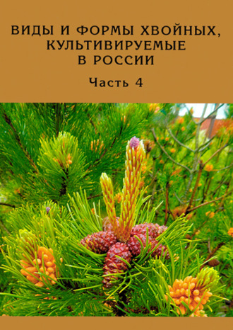 Д. Л. Матюхин. Виды и формы хвойных, культивируемые в России. Часть 4