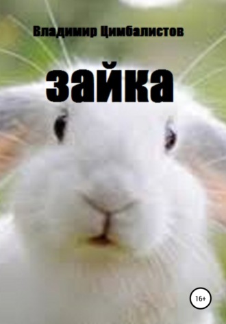 . Зайка