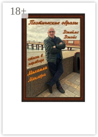 . Поэтические образы