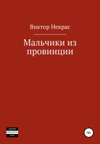 . Мальчики из провинции