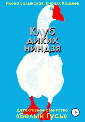 Кирилл Кащеев. Клуб диких ниндзя