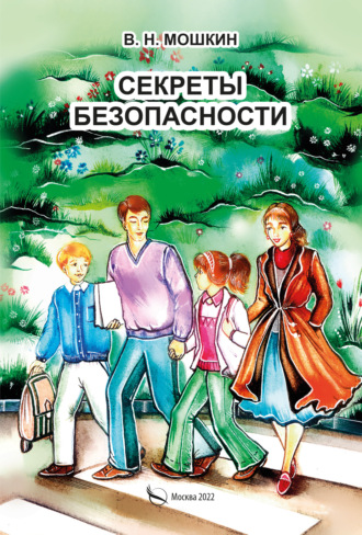 Владимир Мошкин. Секреты безопасности