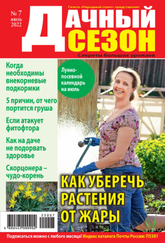 . Дачный сезон №07/2022