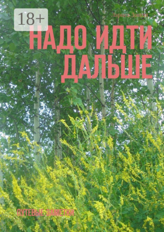 . Надо идти дальше. Путевые заметки
