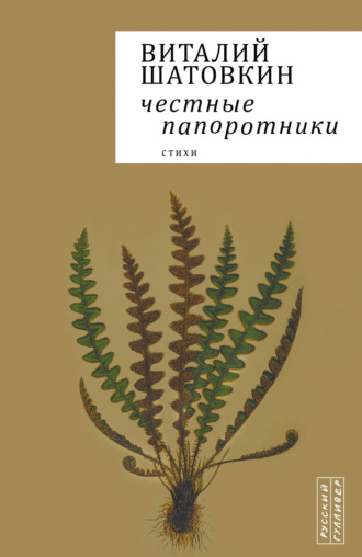 Виталий Шатовкин. Честные папоротники