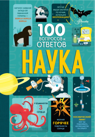 Минна Лейси. Наука