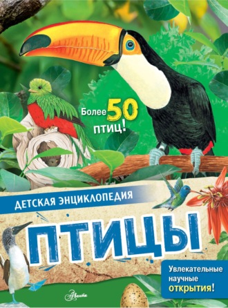 . Птицы