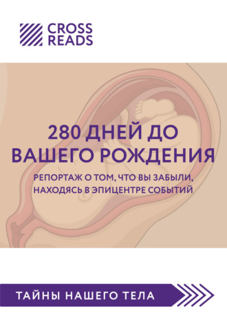 . Саммари книги «280 дней до вашего рождения. Репортаж о том, что вы забыли, находясь в эпицентре событий»